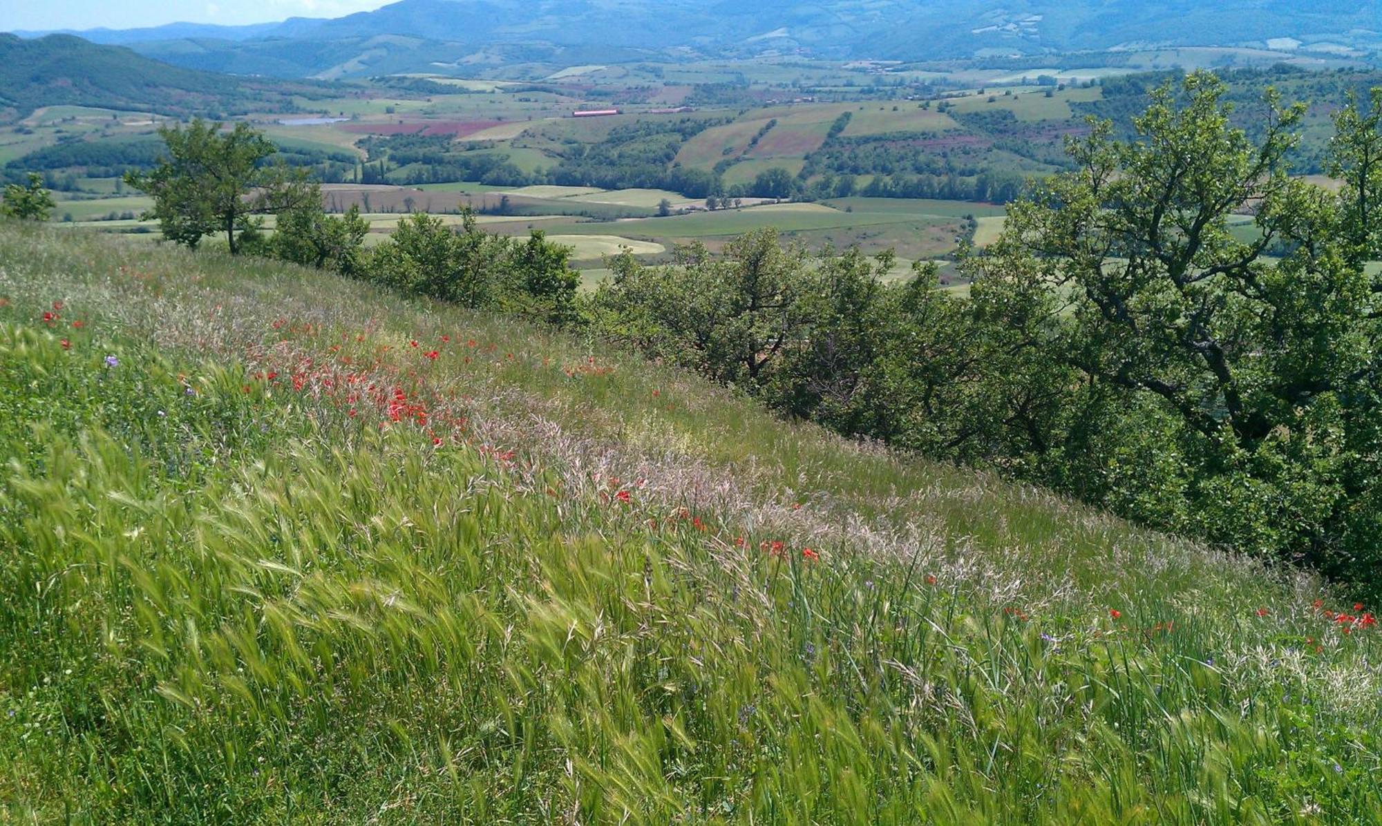 Résidence du Rougier Camarès Esterno foto